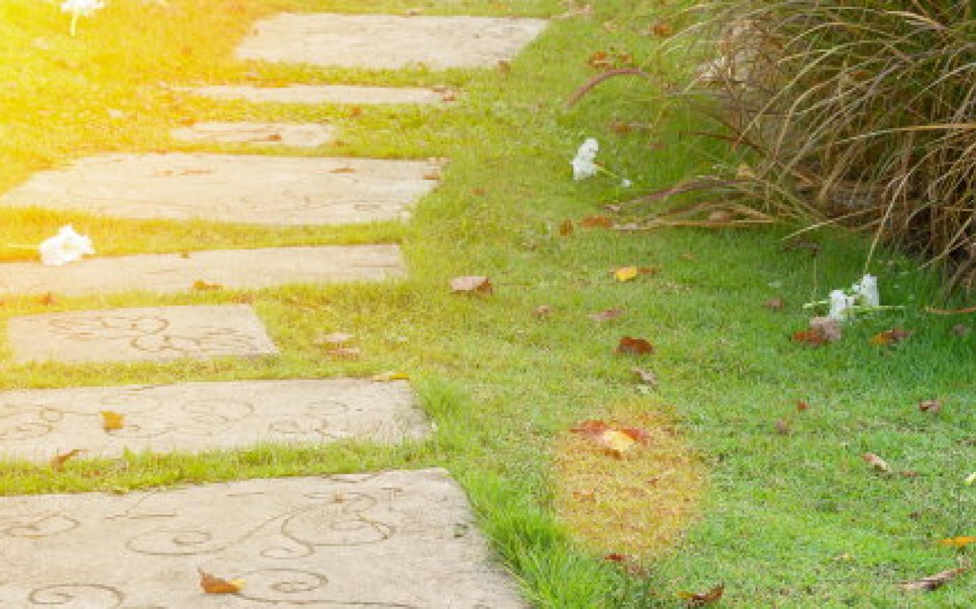 Stepping Stones